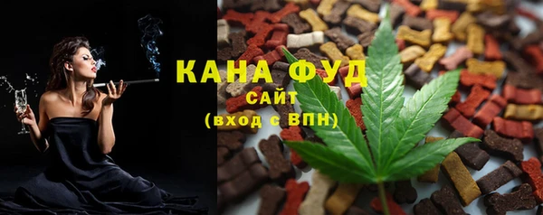 индика Абаза