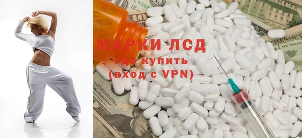 индика Абаза