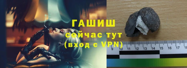 индика Абаза