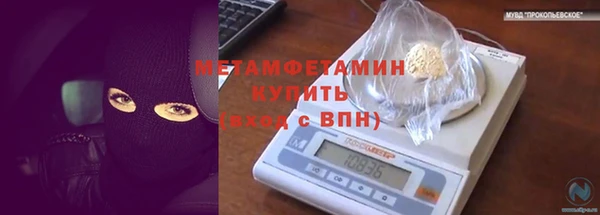 индика Абаза