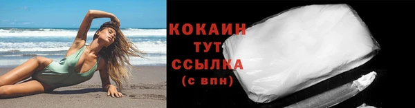 индика Абаза