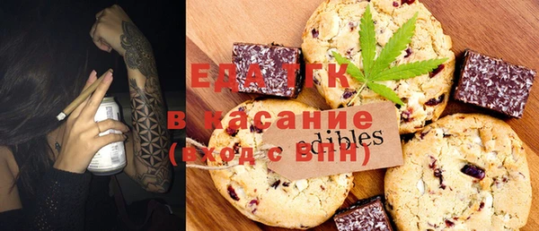 индика Абаза