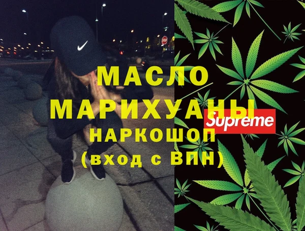 индика Абаза