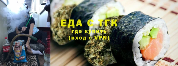 индика Абаза