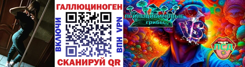 Псилоцибиновые грибы MAGIC MUSHROOMS  Холм 